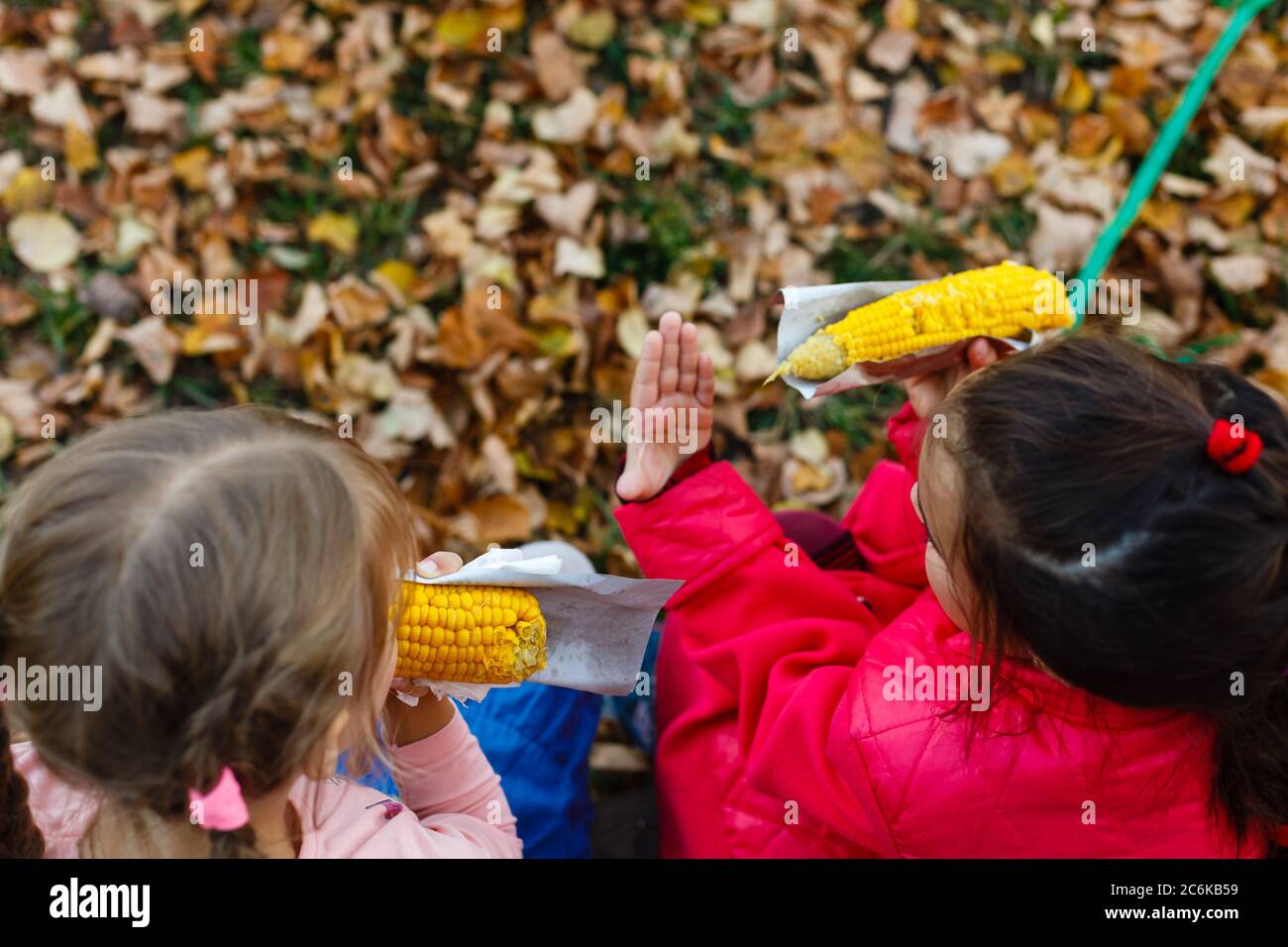 Due bambine che raccolgono e mangiano mais in campo di mais. È un sorriso fresco e una felicità. Prodotti di mais sono usati per produrre cibo per gli esseri umani e. Foto Stock
