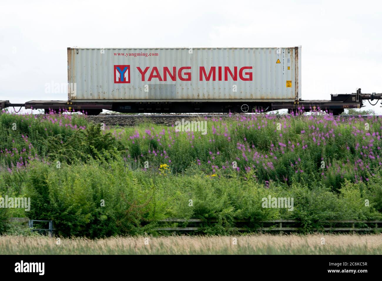 Contenitore per spedizioni Yang Ming su un treno freightliner, Warwickshire, Regno Unito Foto Stock