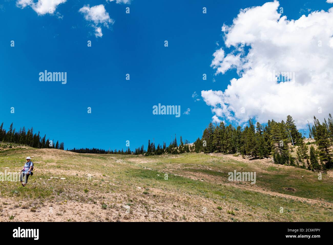 Donna escursionista discendente Monarch Mountain; Colorado Rocky Mountains; Colorado; USA Foto Stock