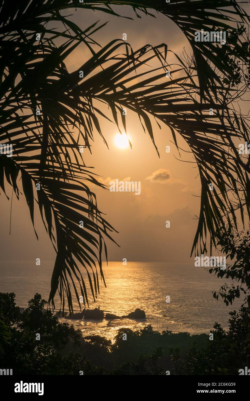 StagCape tropicale durante il tramonto. Bella stagcape naturale con rocce di masso nel mare e foglie di palme Foto Stock