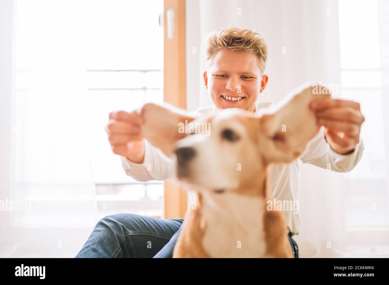 Ridendo sinceramente il giovane seduto sul pavimento e imbrogliando con le orecchie del cane beagle. Foto Stock