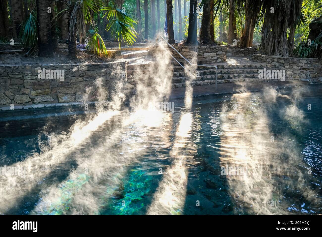 Piscina termale Mataranka nel Parco Nazionale Elsey, nel territorio del Nord dell'Australia. Foto Stock