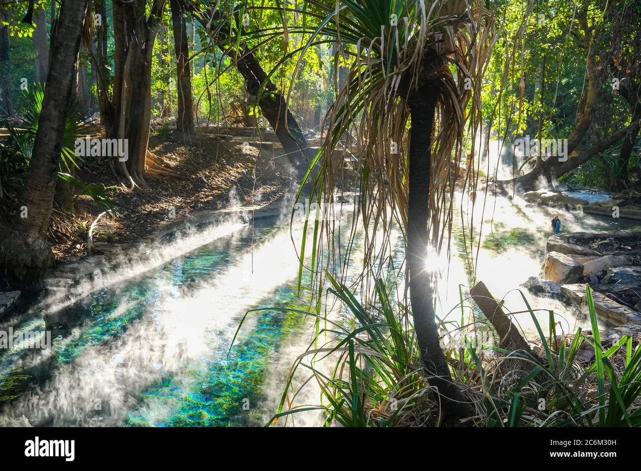 Piscina termale Mataranka nel Parco Nazionale Elsey, nel territorio del Nord dell'Australia. Foto Stock
