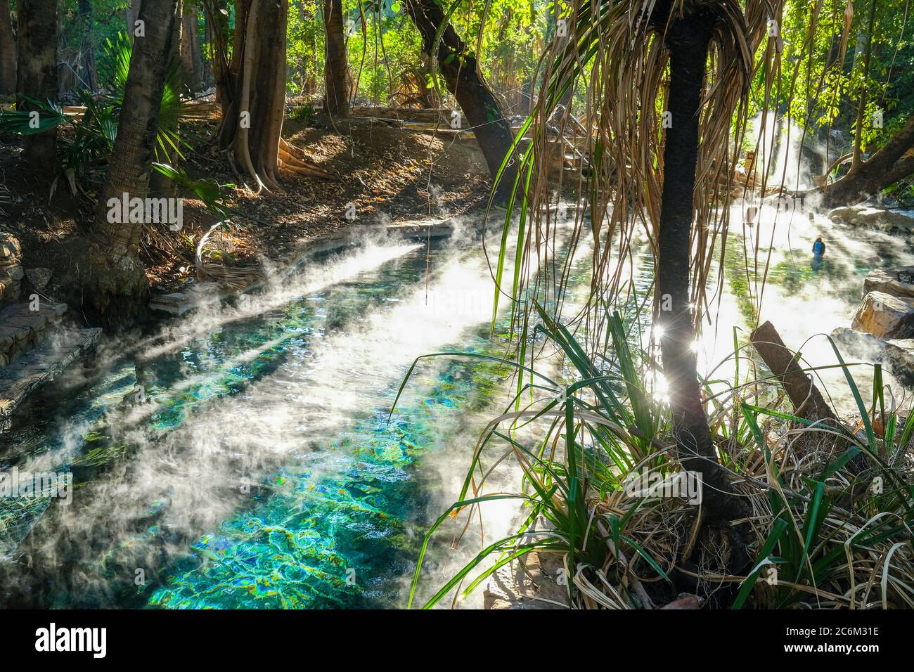 Piscina termale Mataranka nel Parco Nazionale Elsey, nel territorio del Nord dell'Australia. Foto Stock