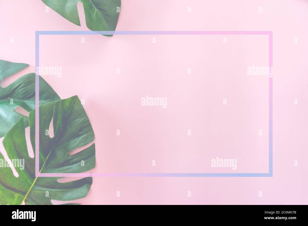 Vista dall'alto della verde natura tropicale foglia su sbiadito rosa pastello vintage stile tono astratto sfondo con spazio copia. Foto Stock
