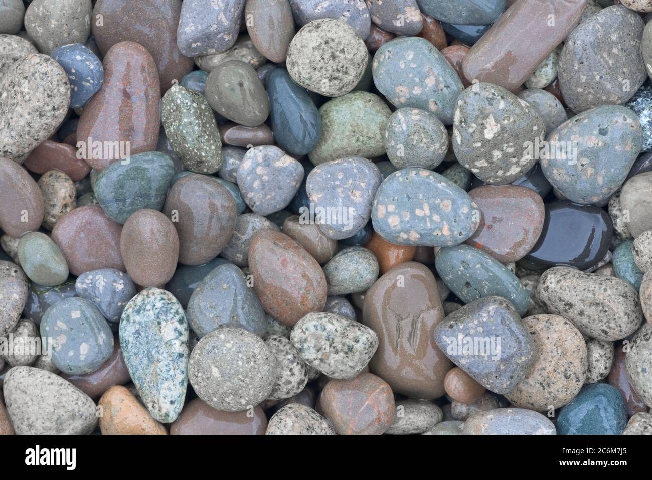 1 - pietre e ciottoli in marmo e chiazze su una spiaggia bagnata dalla pioggia Foto Stock