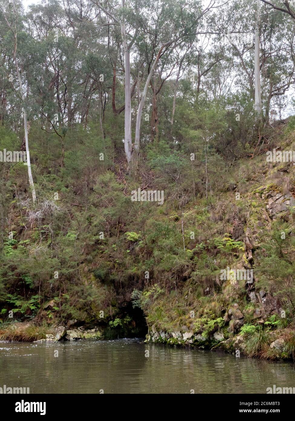 Big Peninsula Tunnel (a valle) che devia il fiume Yarra, Upper Yarra Goldfields, Australia Foto Stock