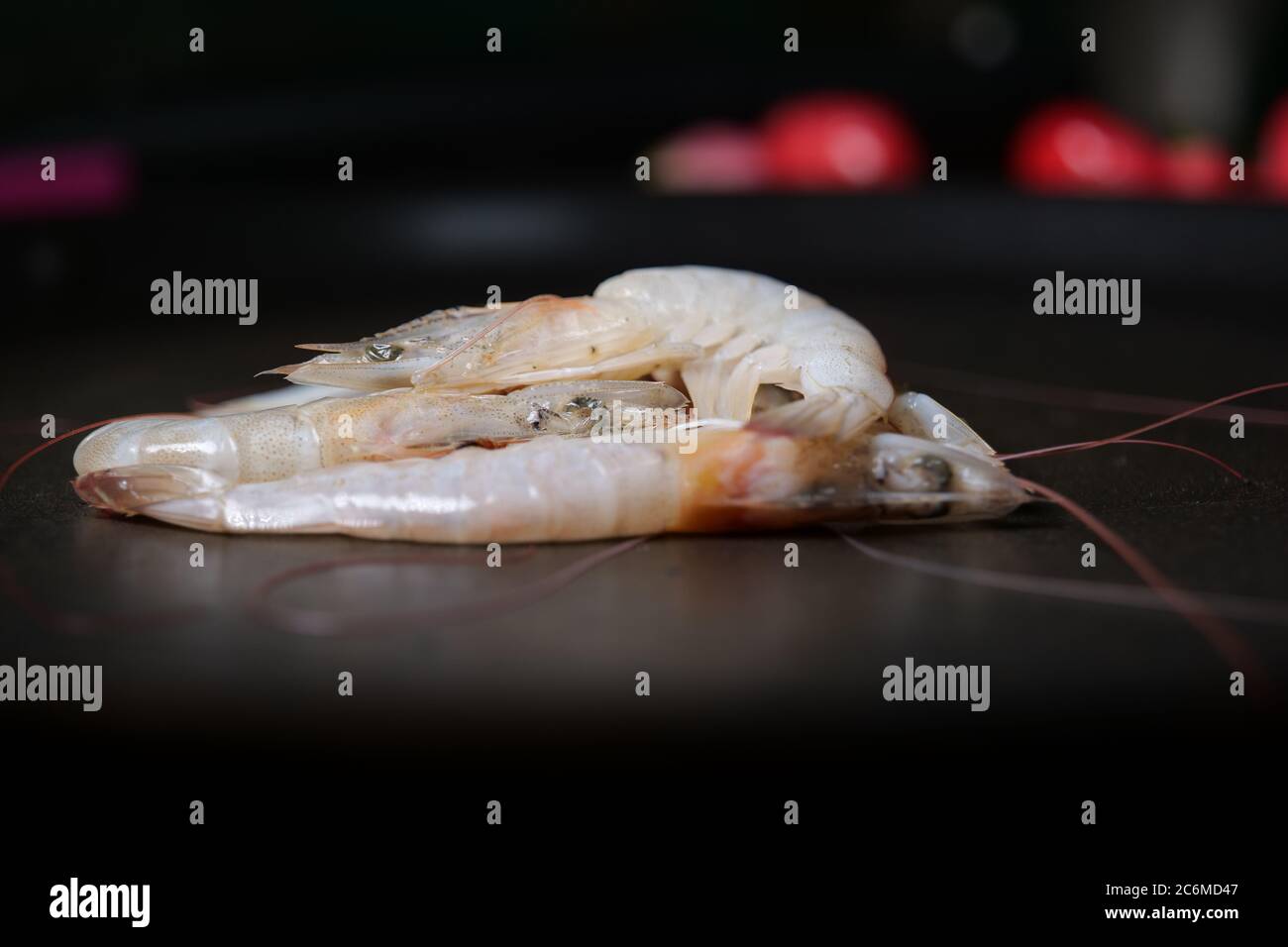 Gamberi su piatto nero con gocce d'acqua Foto Stock