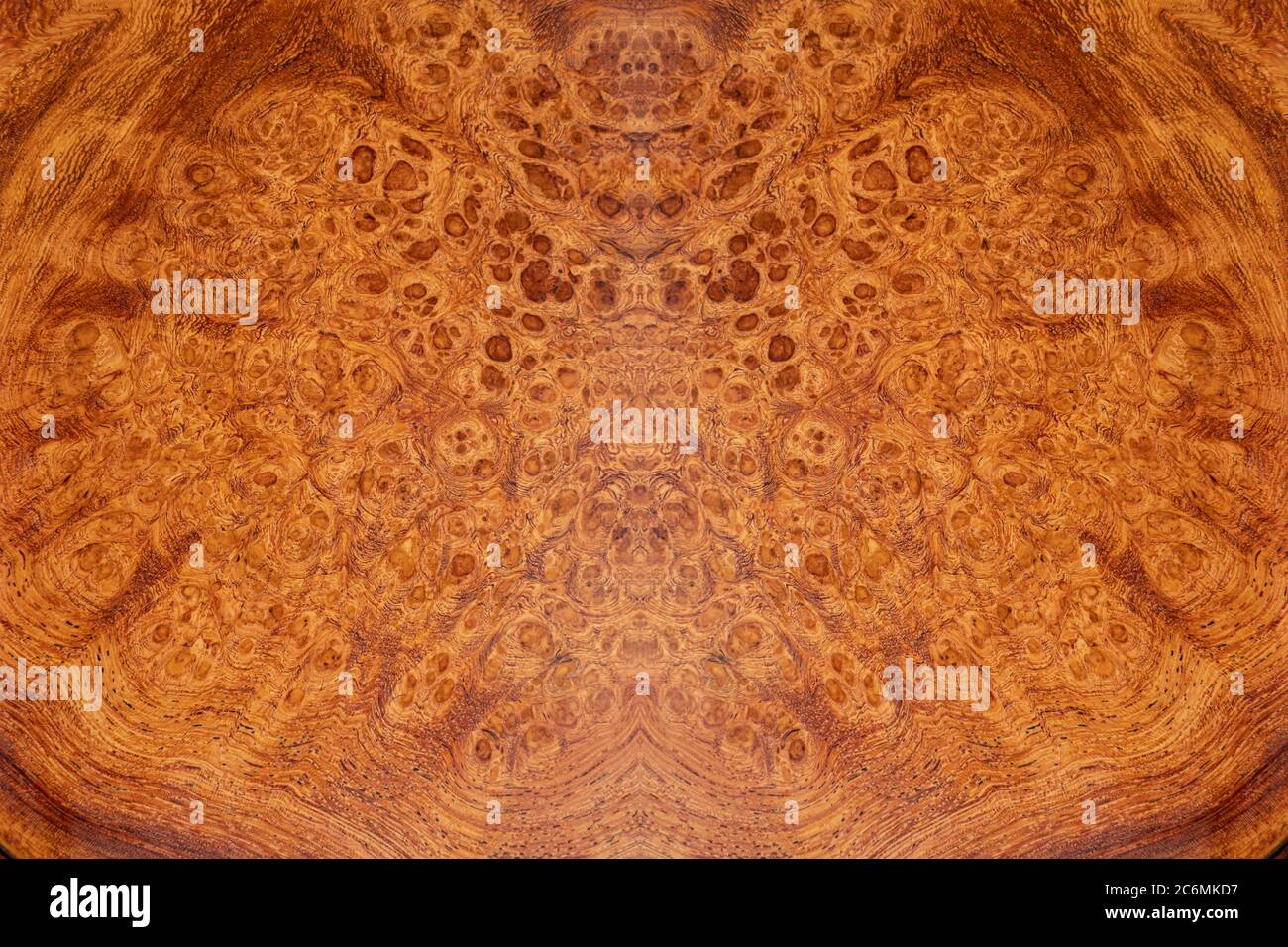 Natura Afzelia burl legno a strisce sono legno bello modello per l'artigianato o arte di fondo Foto Stock