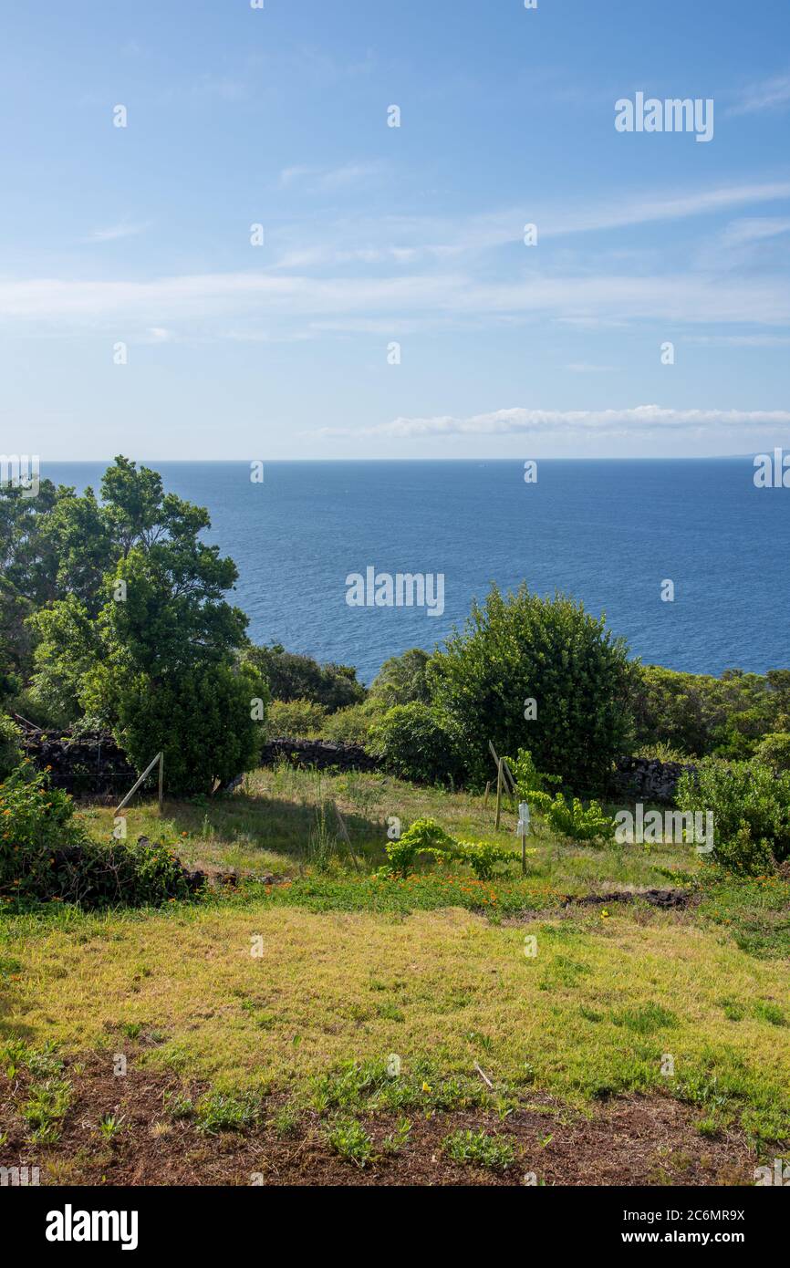 Passeggiata sull'arcipelago delle Azzorre. Scoperta dell'isola di sao jorge, Azzorre. Portogallo , Velas Foto Stock