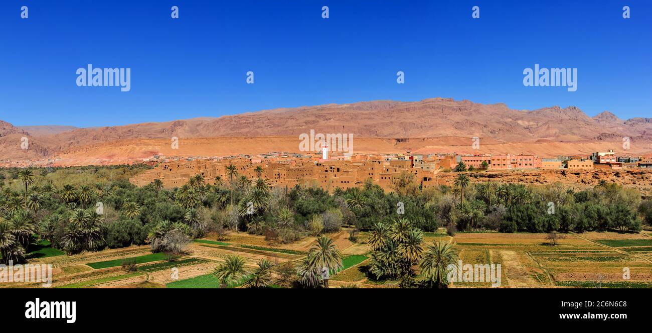 Panorama della città e oasi di Tinerhir in Valle Dades, Marocco (file grande con punti) Foto Stock