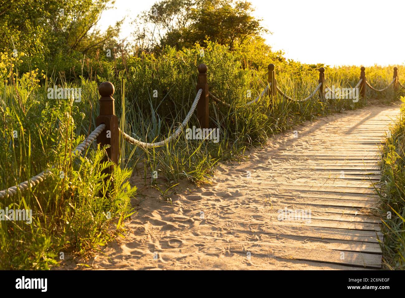 Percorso escursionistico ecologico nel parco nazionale attraverso dune di sabbia, spiaggia, boschetti e piante, percorso in legno attraverso ambiente protetto. pla selvaggio Foto Stock