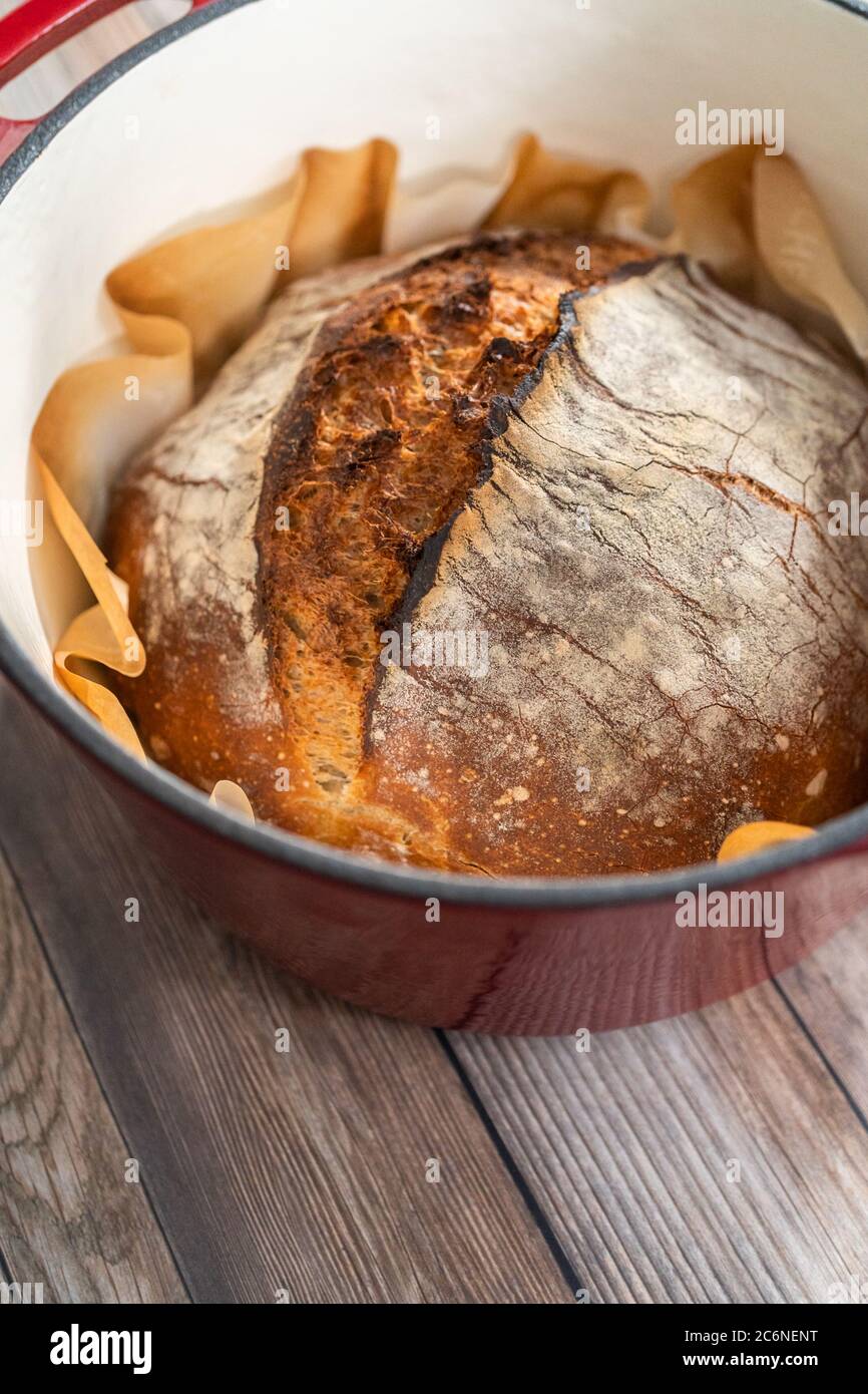 Pane di segale appena sfornato in forno olandese Foto stock - Alamy