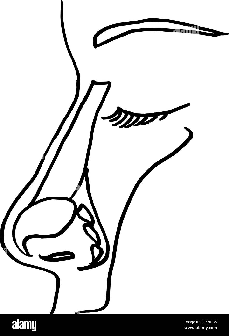 Contorno vettore disegno di contorno di nasofaringe. Modello modificabile per la progettazione medica Illustrazione Vettoriale