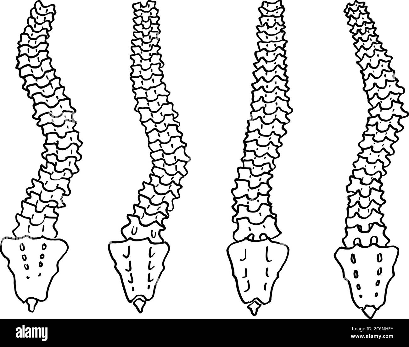 Contorno vettore disegno di contorno dello scheletro umano della colonna vertebrale. Modello modificabile per la progettazione medica Illustrazione Vettoriale