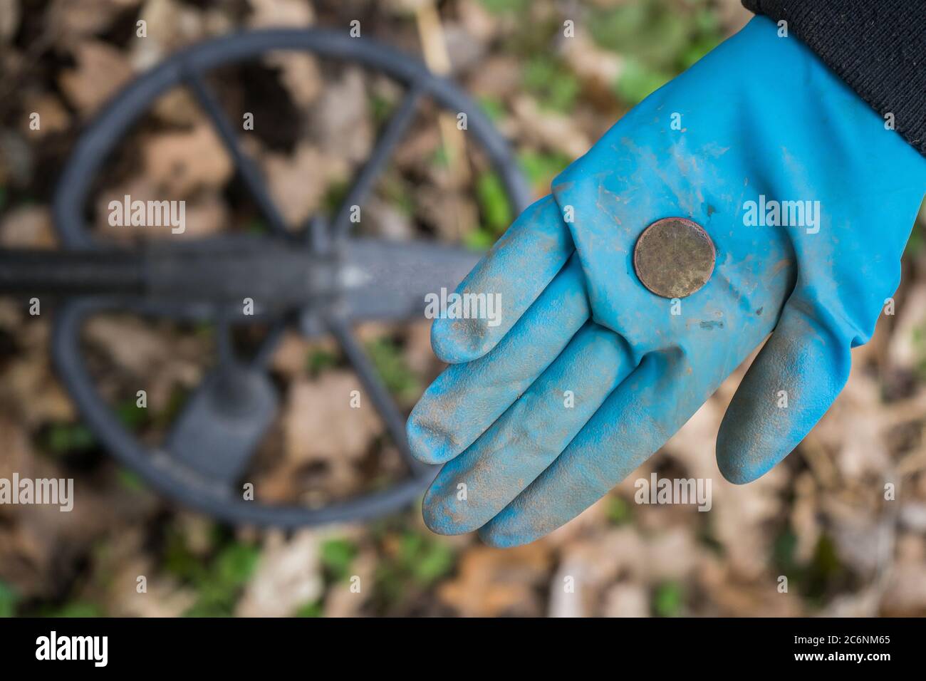 Un archeologo digger con guanti di gomma ha trovato una costosa moneta storica Foto Stock