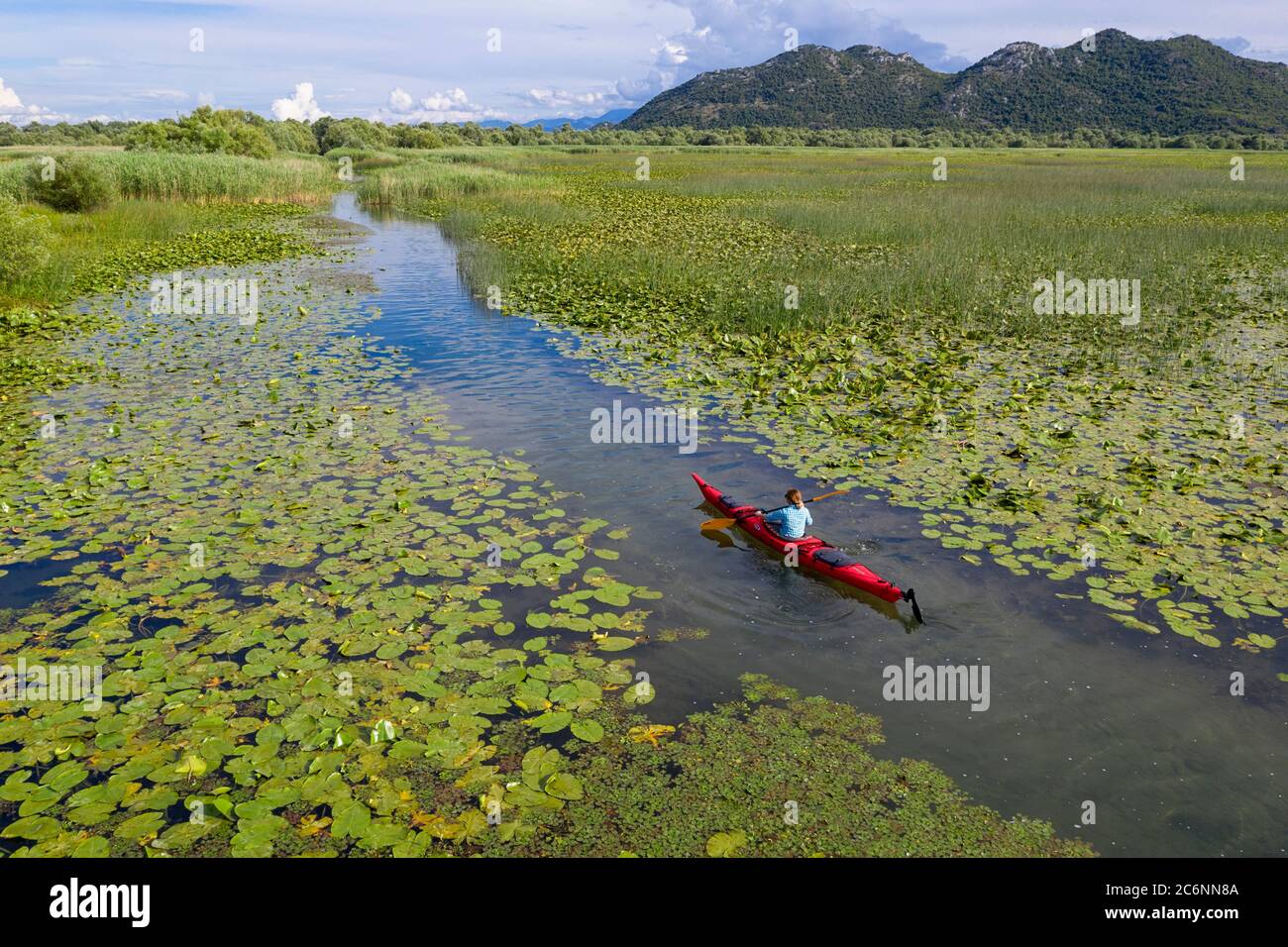 Donna in kayak rosso che addlata tra le ninfee sul lago Skadar, Montenegro Foto Stock