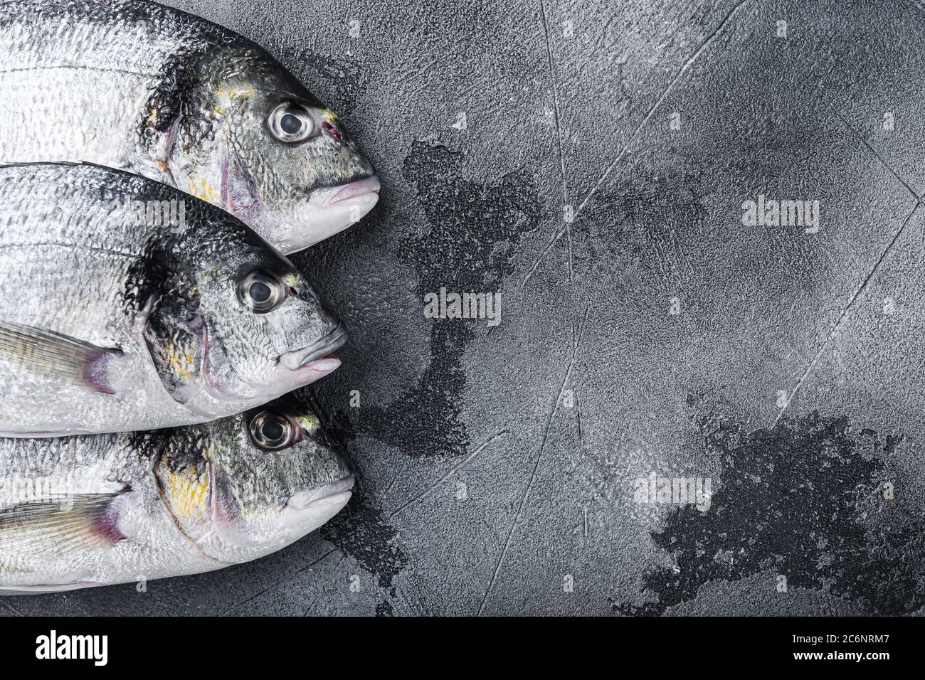 Orata cruda a tre teste o orata dorata pesce dorada su fondo grigio testurizzato, vista dall'alto con spazio per il testo. Foto Stock