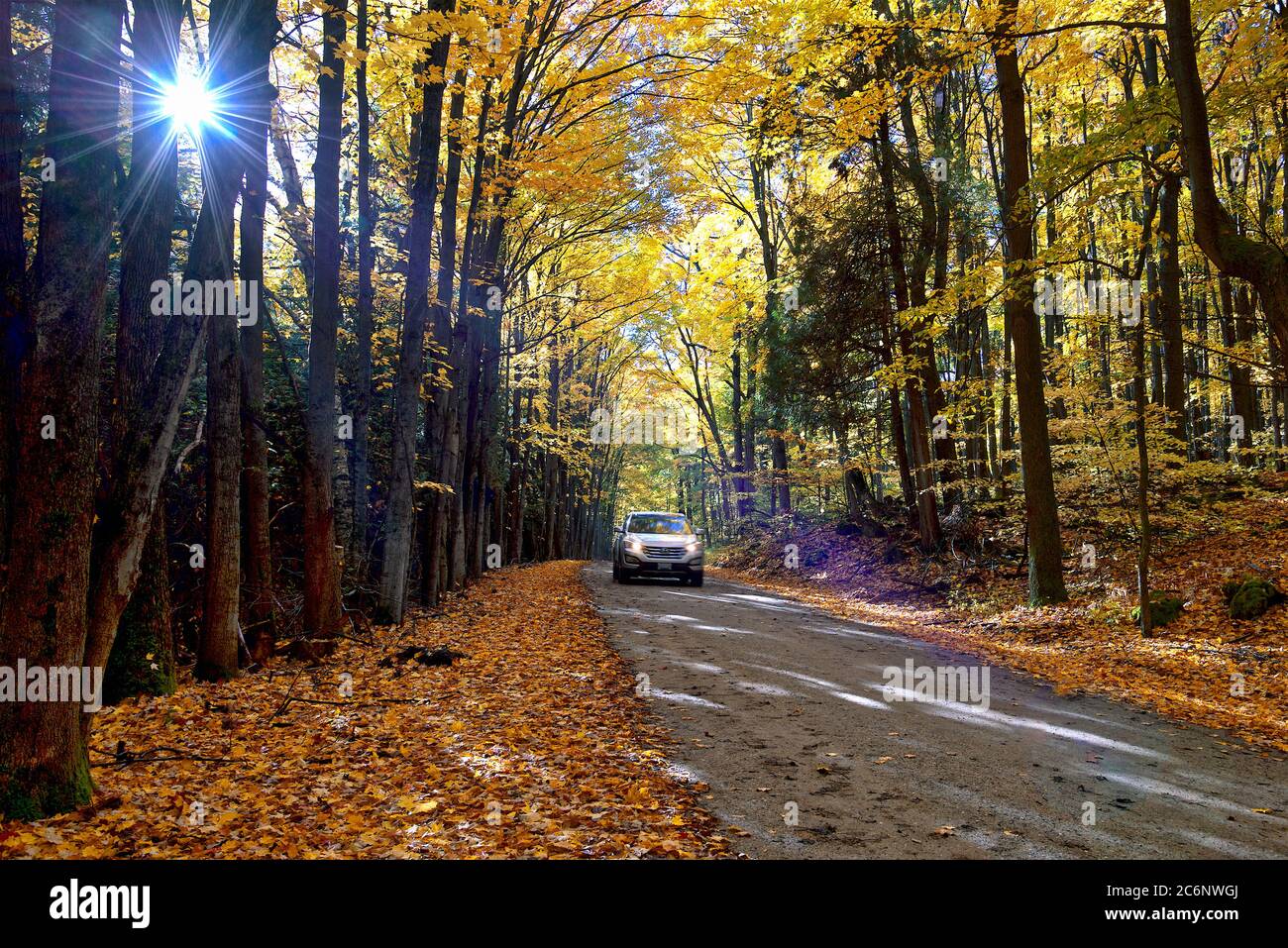 Orangeville, Ontario / Canada - 11/24/2016: Il paesaggio di viaggio su strada con colore foglia autunno, e bella strada asfaltata paese. Foto Stock
