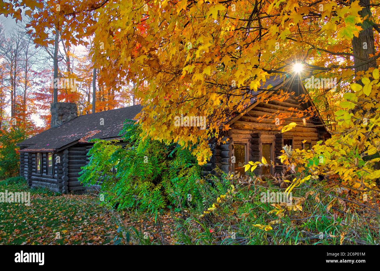 Antica casa di legno in legno di legno nella foresta, King City, Ontario, Canada. Foto Stock