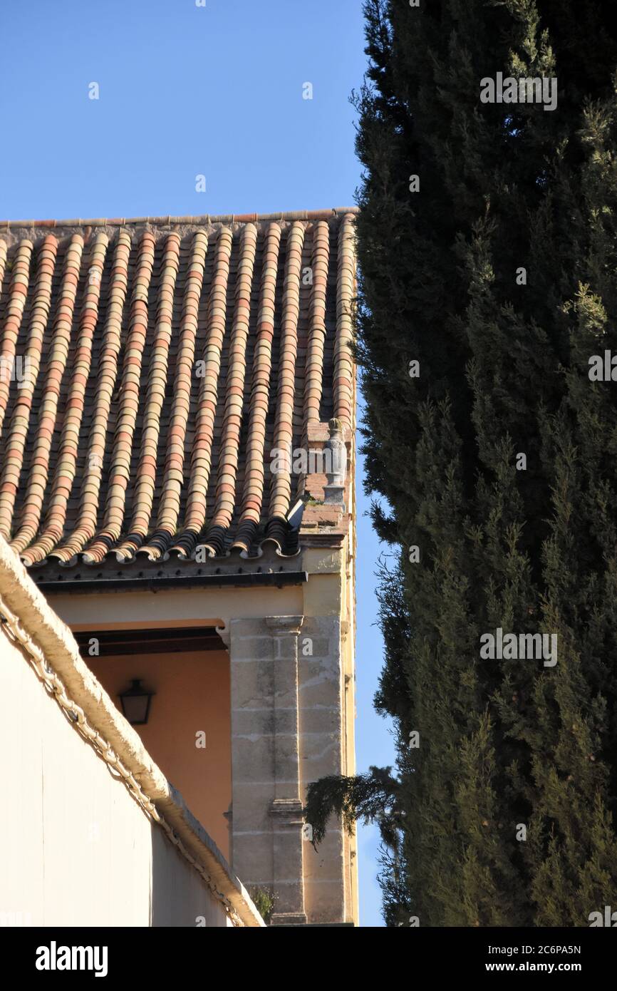 Scena di strada a Cordoba Spagna Foto Stock