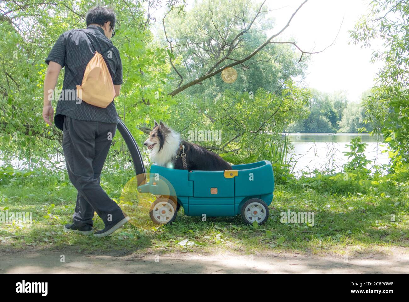 Un uomo tira il suo vecchio e stanco cane in un carrello del bambino. Foto Stock