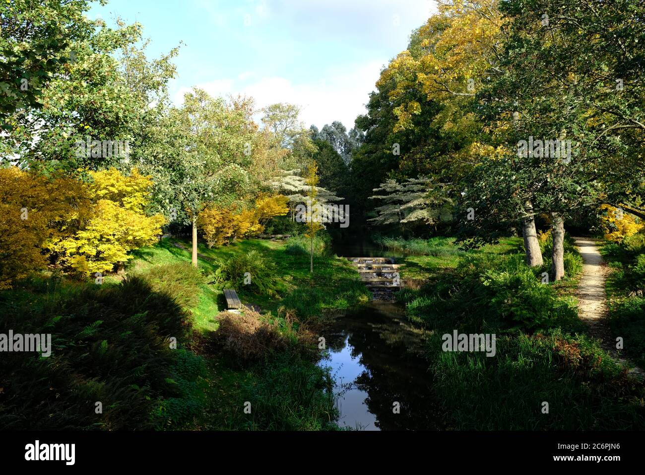 Un bel pezzo nascosto di natura nell'Amsterdam westerpark Foto Stock