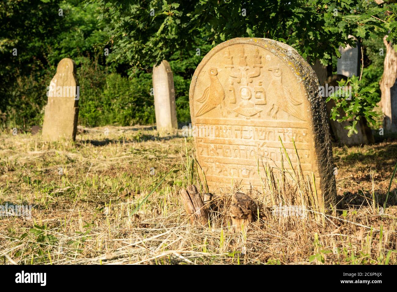 Trascurato vecchio cimitero ebraico in Slovacchia orientale. Europa Foto Stock
