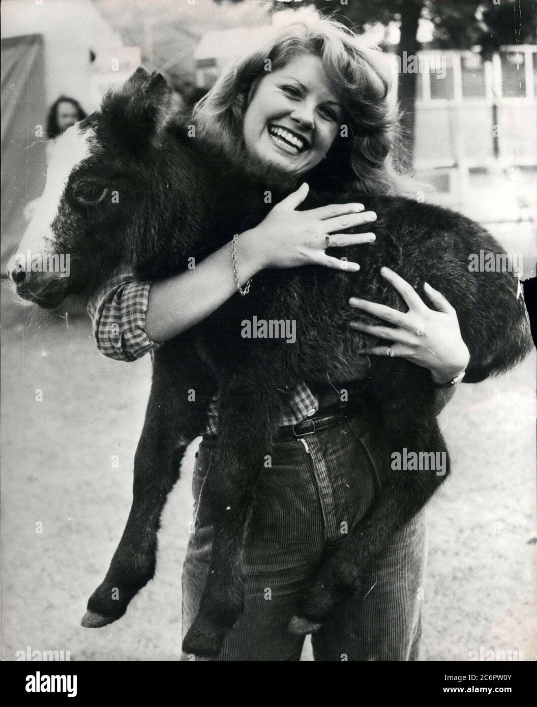 1981 - Regno Unito - Lady di è il nome registrato di un pony Shetland nato di recente che verrà offerto al Principe di Galles quando aprirà il Royal Easter Show. La piccola filly è nata solo recentemente dopo che sua madre Toots, era arrivata al campo di spettacolo dal Loch Lomond Stud a Windsor. ROSLYN WAYMARK, 20, raffigurato con il nuovo pony, ha detto: 'Penso che sia una bella idea per un regalo di nozze''. (Credit Image: © Keystone Pictures USA/ZUMAPRESS.com) Foto Stock