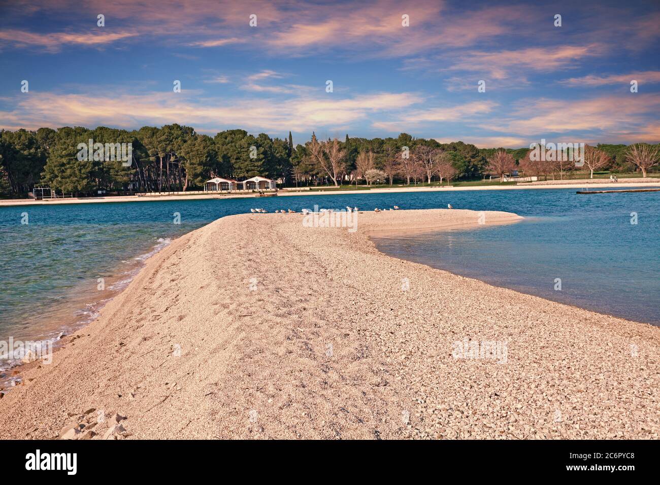 Fazana, Istria, Croazia: Paesaggio al tramonto della baia e della spiaggia del mare Adriatico con gabbiani e pinete sullo sfondo Foto Stock