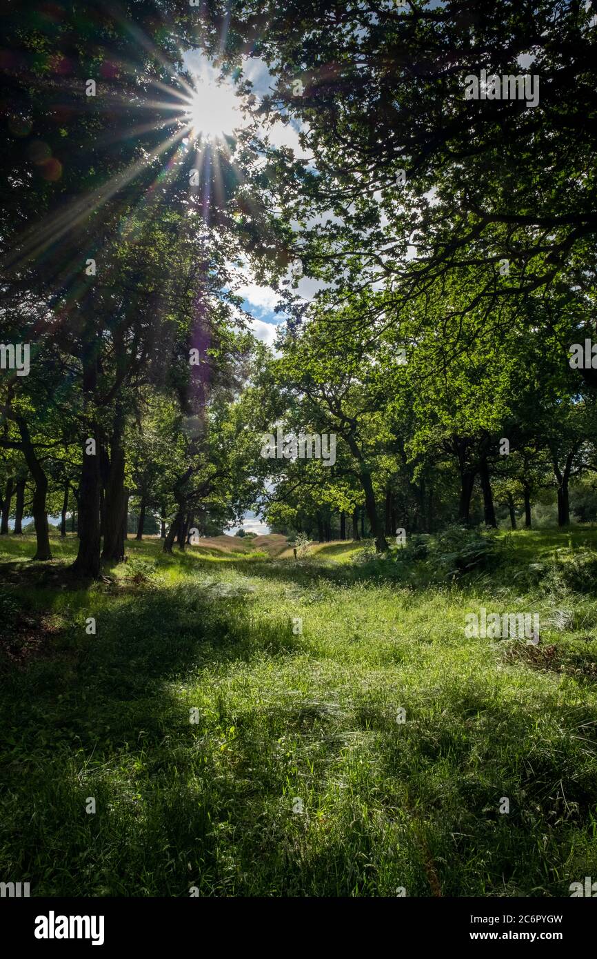 Una sezione del Muro Antonino, a ovest del Forte Rough Castle, un forte difensivo romano vicino Falkirk, Scozia, Regno Unito. Foto Stock