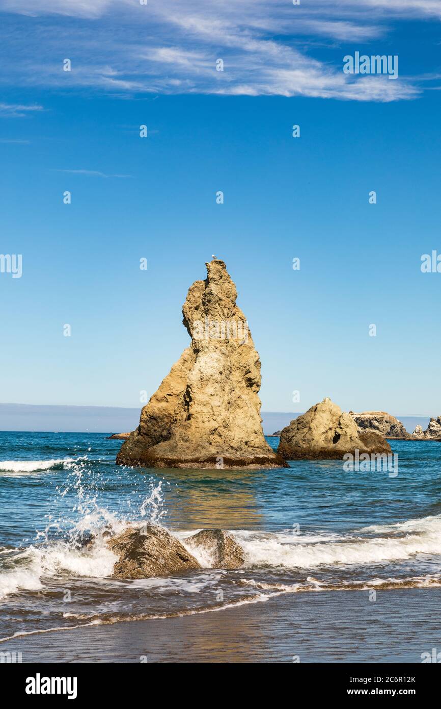 Immagine verticale - Needle Rock Sea stack su Bandon Beach in Oregon Foto Stock