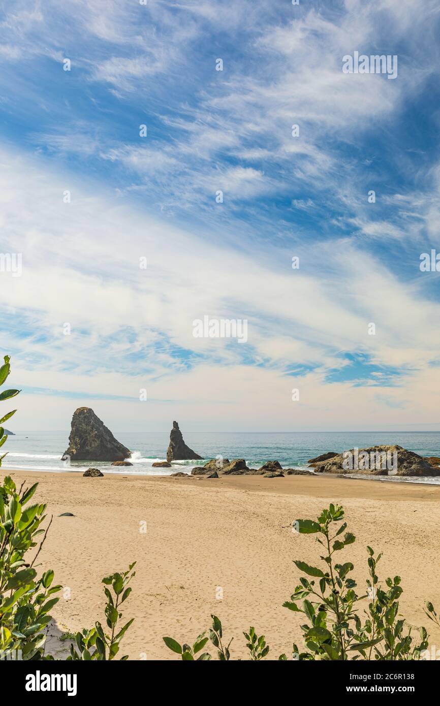 Immagine verticale - Needle Rock e le pile di mare sulla spiaggia di Bandon in Oregon Foto Stock