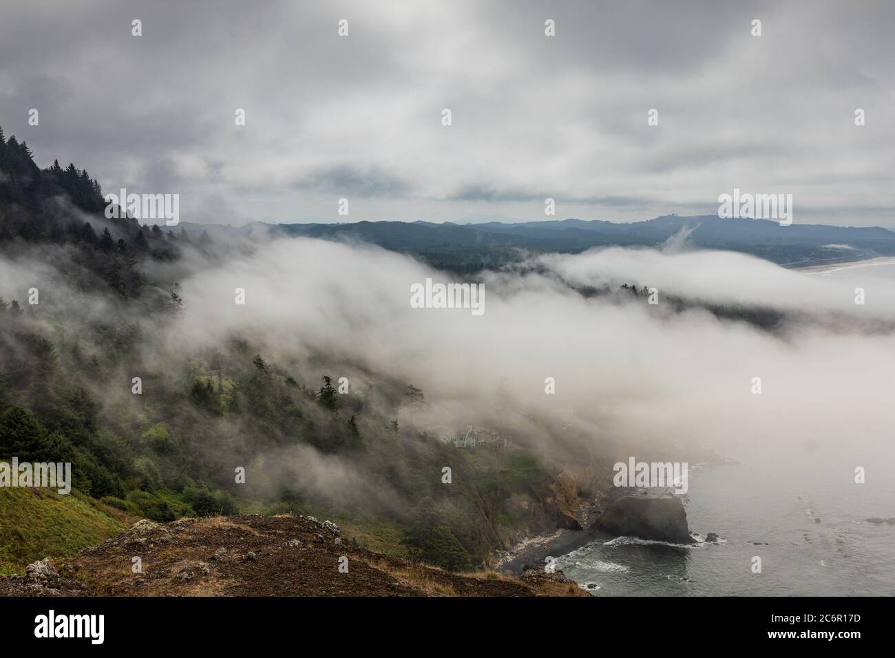 Nebbia che si avvolse dal mare sulle colline costiere coperte di alberi in Oregon Foto Stock