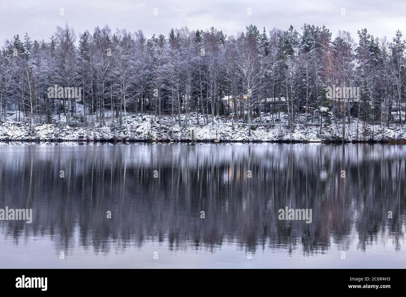 Paesaggio tardo autunno con alberi che si riflettono in un lago. Moody sfondo stagionale. Foto Stock