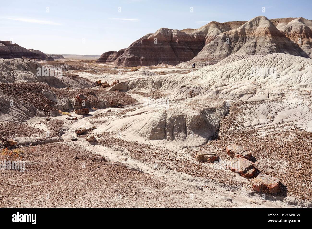 Paesaggio ultraterreno nel Petrifified Forest National Park, Arizona Foto Stock