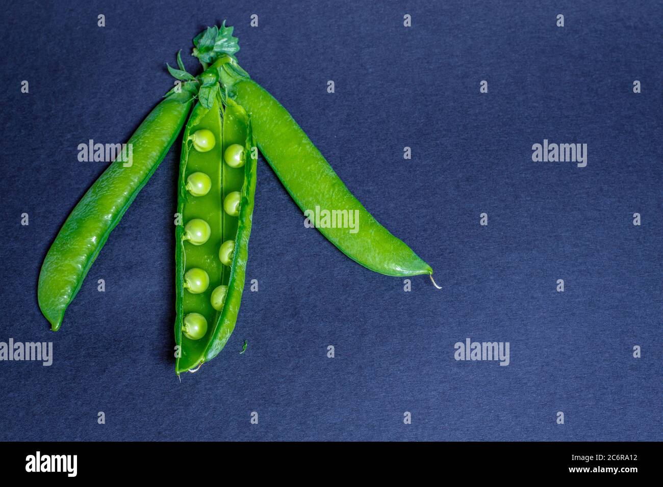 Tre baccelli di piselli da giardino appena raccolti dalla zona di verdure su sfondo nero Foto Stock