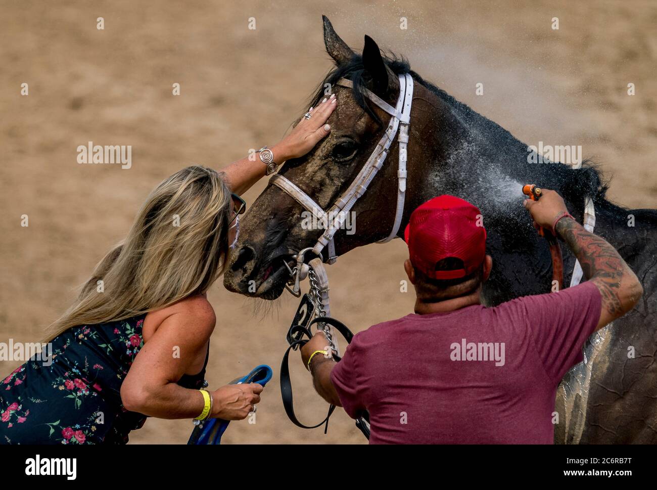 New Stanton, DE, Stati Uniti. 11 Luglio 2020. 11 luglio 2020: Un po' di entrambi ottiene un picchietto sulla testa da uno dei suoi collegamenti dopo le batticuanti Beauty Stakes in Delaware handicap Day al Delaware Park a New Stanton, Delaware. Scott Serio/Eclipse Sportswire/CSM/Alamy Live News Foto Stock