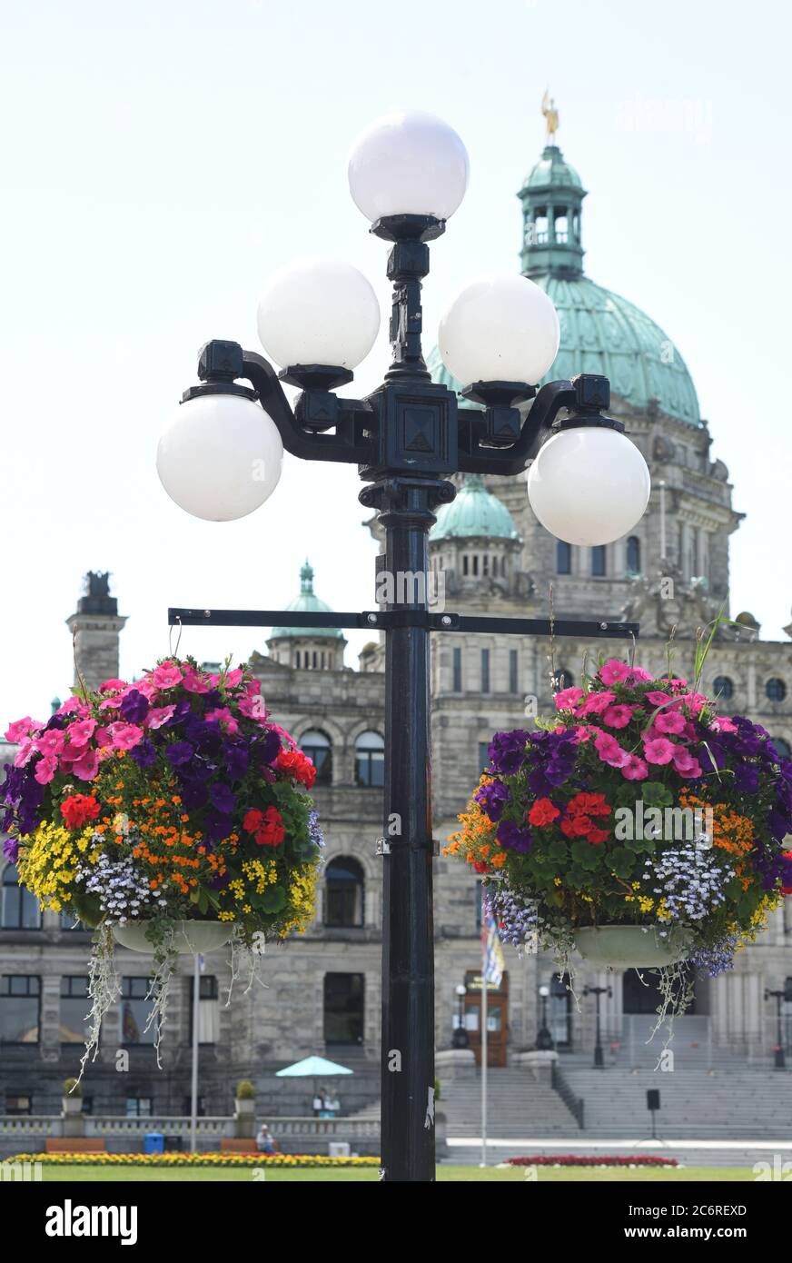 I cestelli sospesi pieni di fiori colorati pendono dai pali delle lampade di fronte all'edificio della Legislatura provinciale BC nel centro di Victoria, British C. Foto Stock