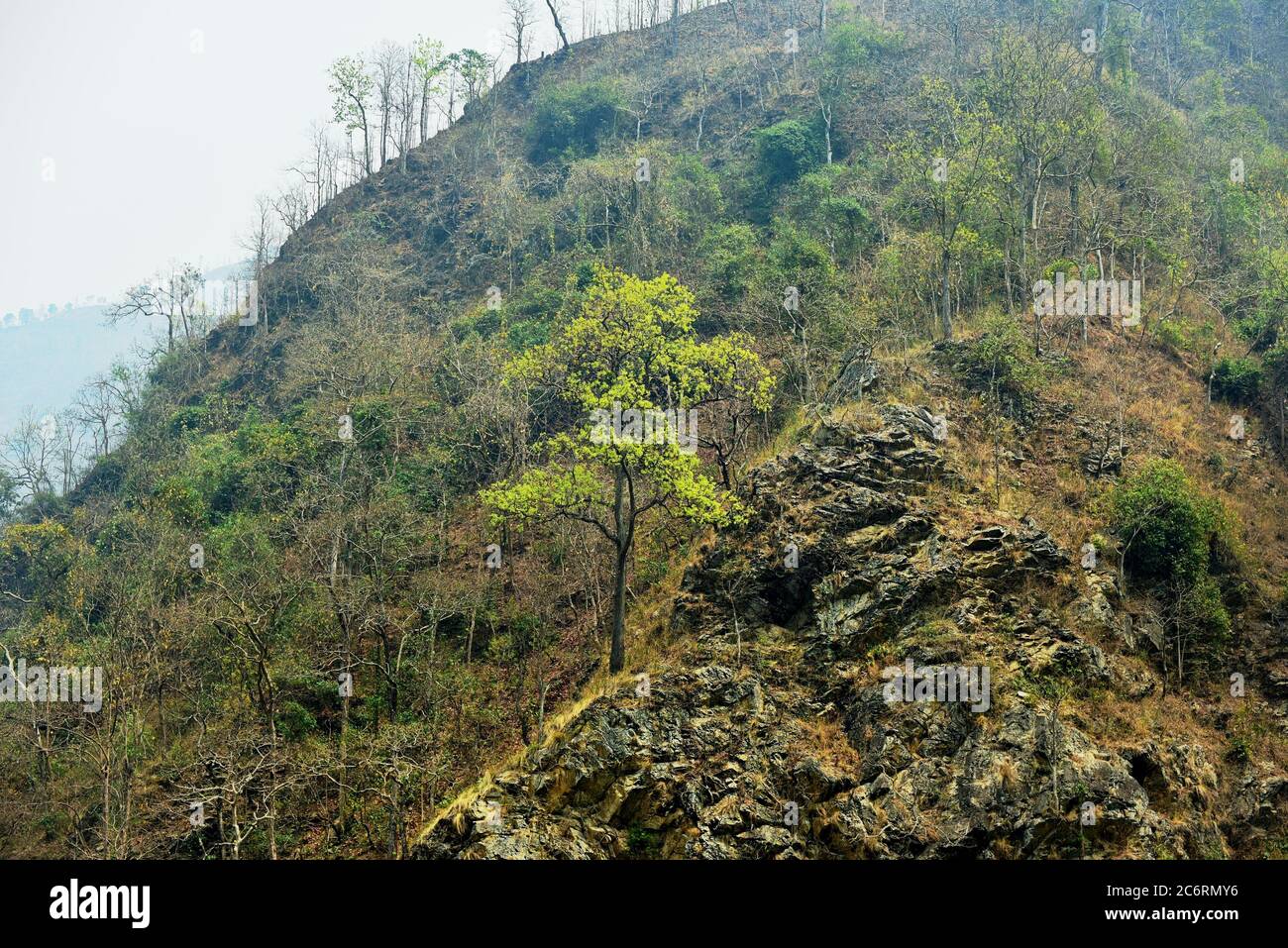 Vegetazione che asciuga su una collina rocciosa in Nepal, vista da una strada che collega Pokhara e Kathmandu. Foto Stock