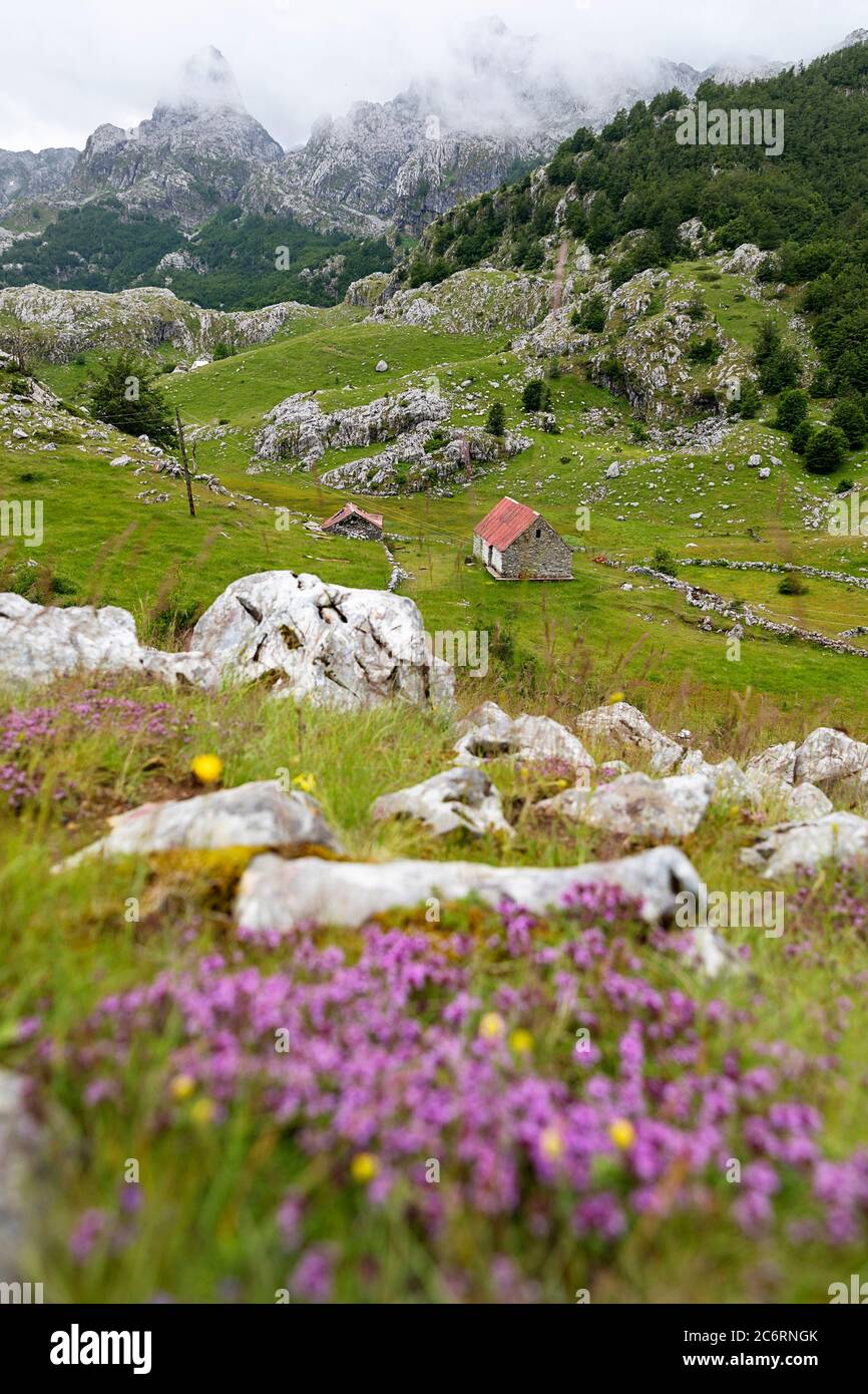 Vista sul prato con pascoli, fiori, capanne tradizionali e splendida vista sulle montagne del lago Bukumirsko, Montenegro Foto Stock
