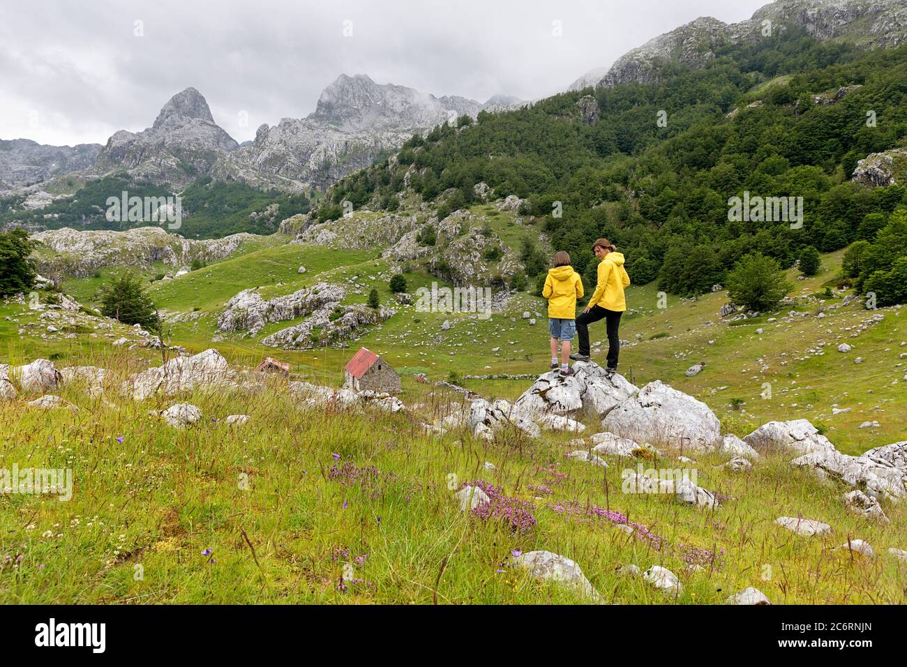 žmother e figlio che si erigono sulla roccia su un prato vicino al lago Bukumirsko con vista sulle montagne, Montenegro Foto Stock