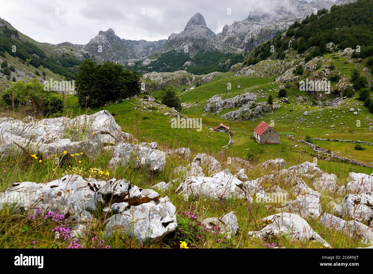 Vista sul prato con pascoli e capanne tradizionali e splendida vista sulle montagne del lago Bukumirsko, Montenegro Foto Stock