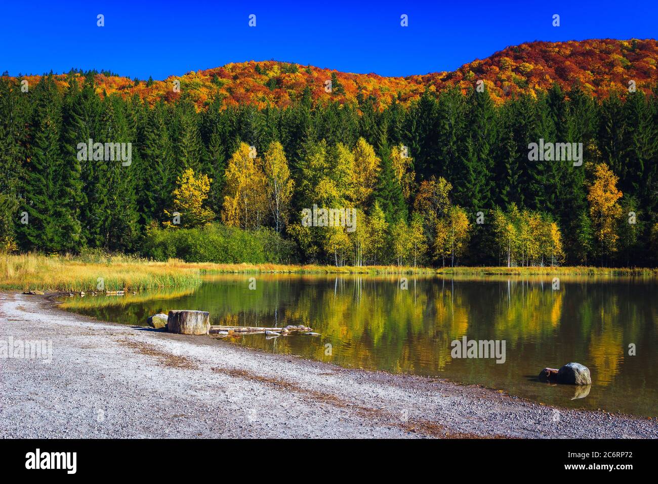 Spettacolare paesaggio autunnale con colorati alberi decidui nella foresta e il famoso lago vulcanico. Bellissima destinazione turistica e di viaggio con Sai Foto Stock
