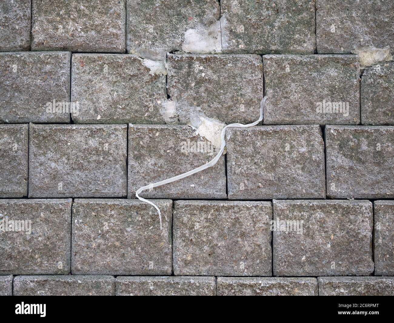 Muffa carcassa molatura su calcestruzzo blocchi parete sfondo Foto Stock