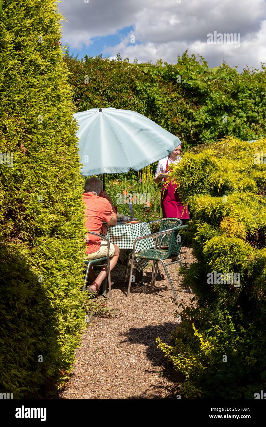 Accogliente, Cultura Inglese, Ristorazione, Ristorazione, ospite, tenuta, orizzontale, Hotel, interno, Medio Adulto, Donne medie Adulto, mattina, Foto Stock