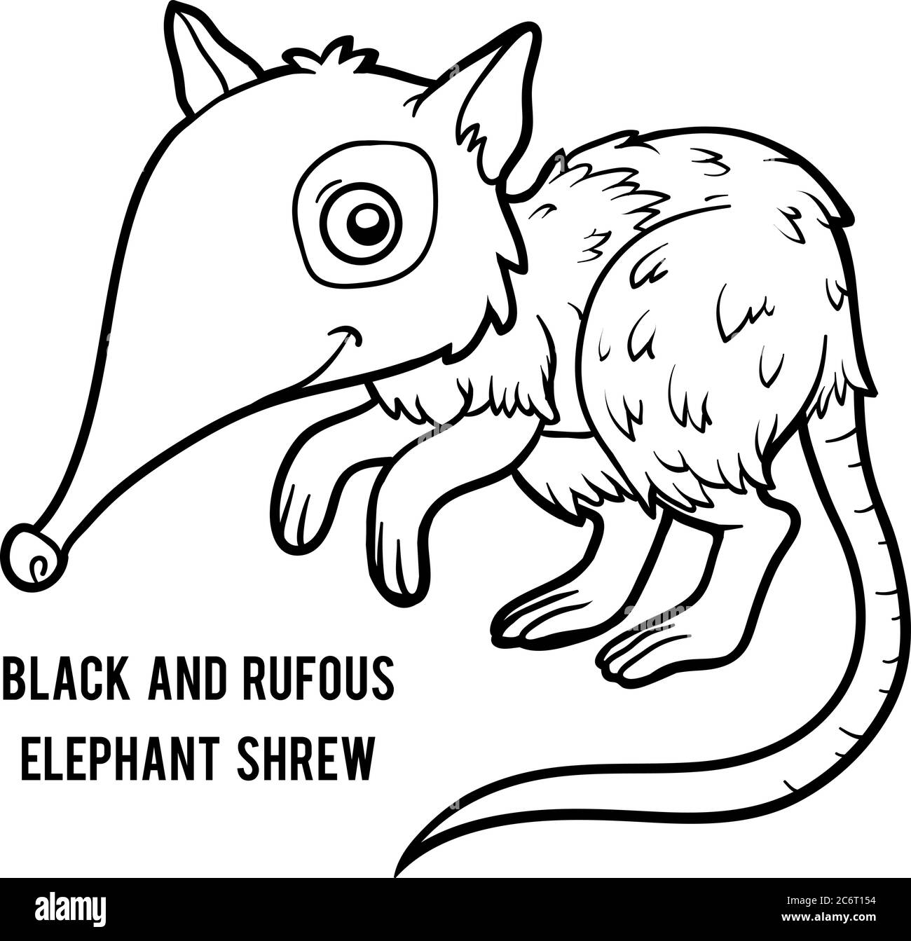 Libro da colorare per bambini, elefante nero e rufous shrew Illustrazione Vettoriale