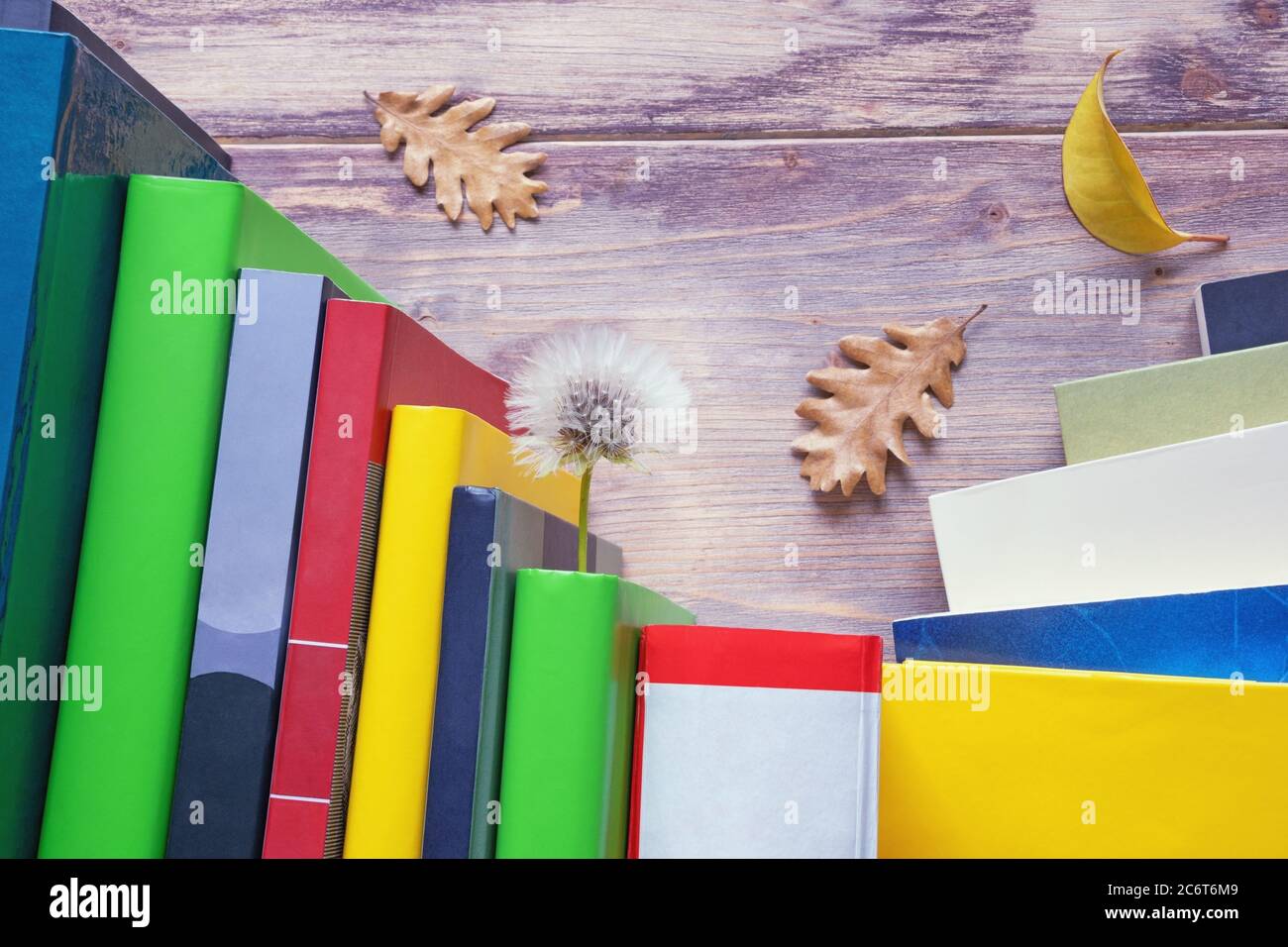 Concetto di autunno, fine estate. Libri e fiori di dente di leone differenti come un segnalibro, foglie di autunno gialle. Spazio di copia Foto Stock