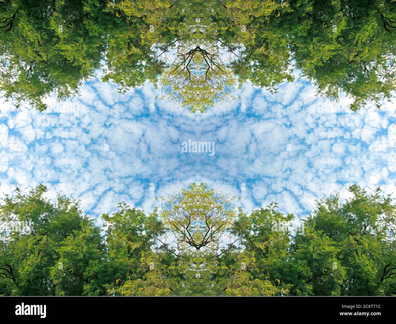 nuvole soffici e alberi verdi lussureggiante fogliame e cielo blu su struttura di sfondo natura cornice Foto Stock