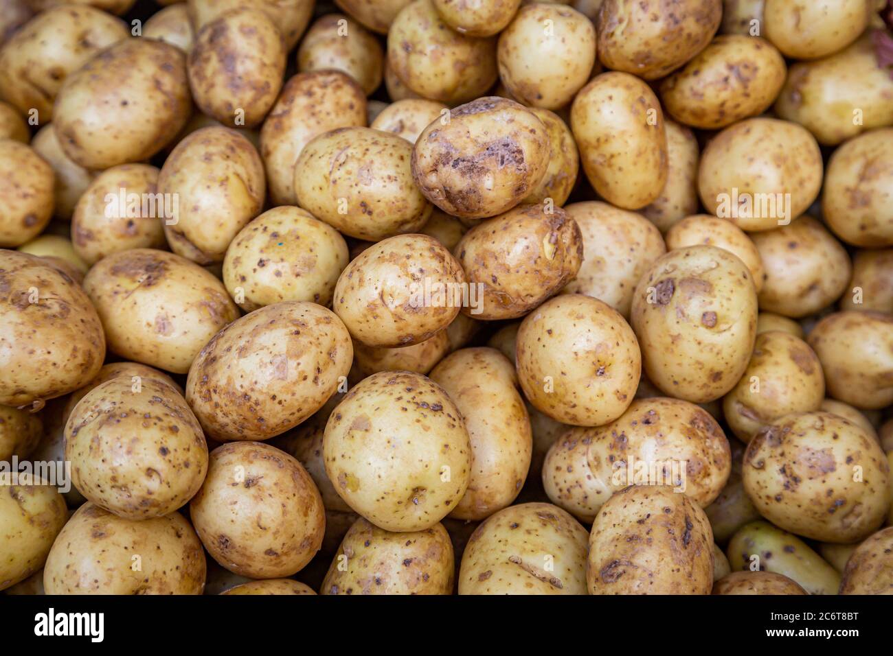 Una fotografia a cornice completa di un'abbondanza di patate per la vendita su una bancarella di mercato Foto Stock